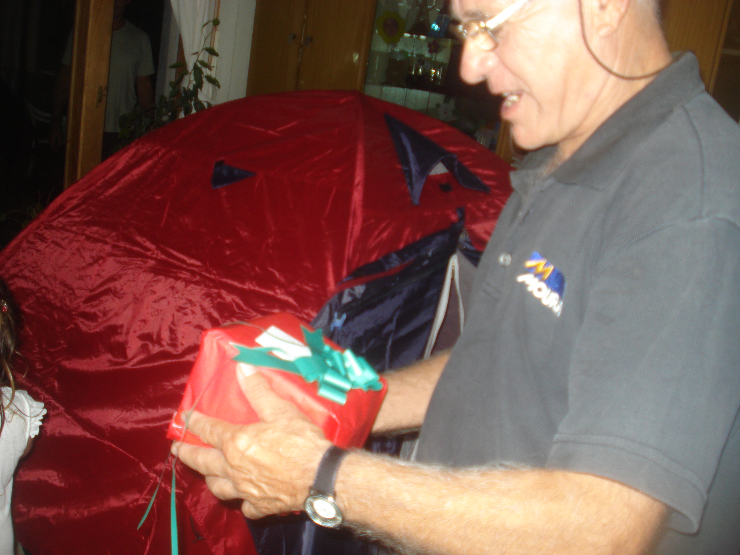 fotos/2012-12-24 - Navidad y pileta/DSC05084.JPG